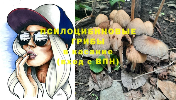 синтетический гашиш Елизово