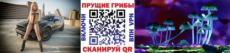 Галлюциногенные грибы мицелий  Черкесск 